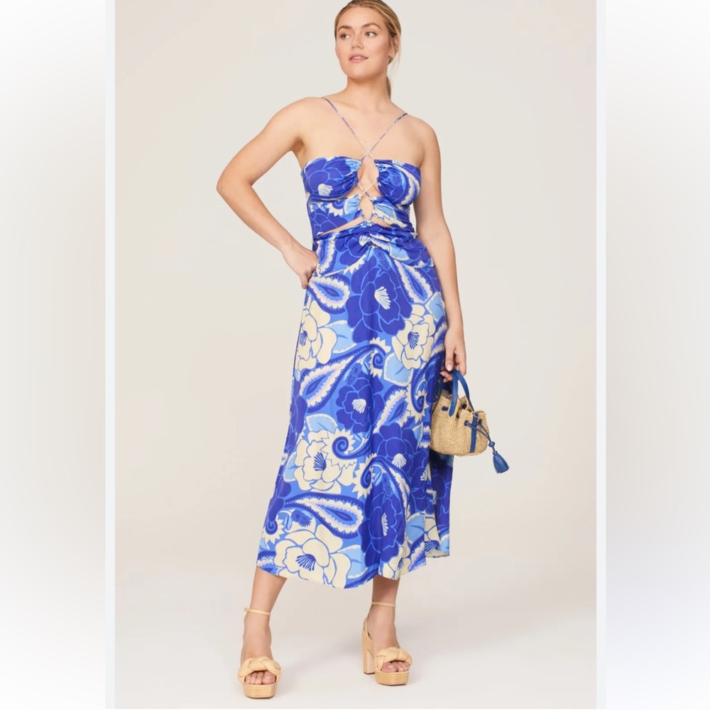NWT Farm Rio dress